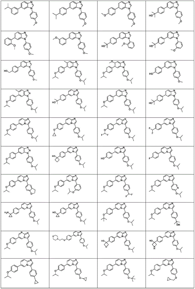 Figure FDA0003101608290000021