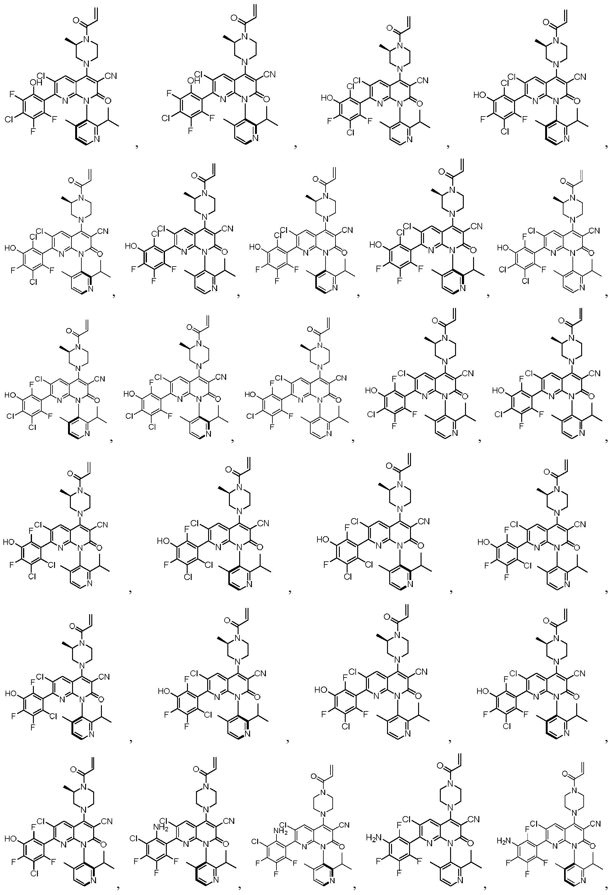Figure PCTCN2020137497-appb-000106