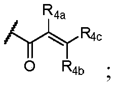 Figure PCTCN2020137497-appb-000020
