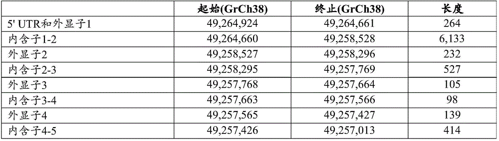 Figure BDA0004088486260000362