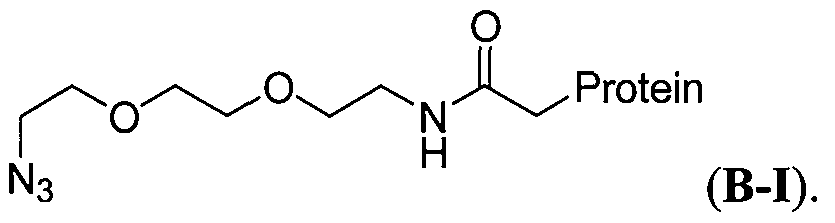 Figure imgf000011_0001
