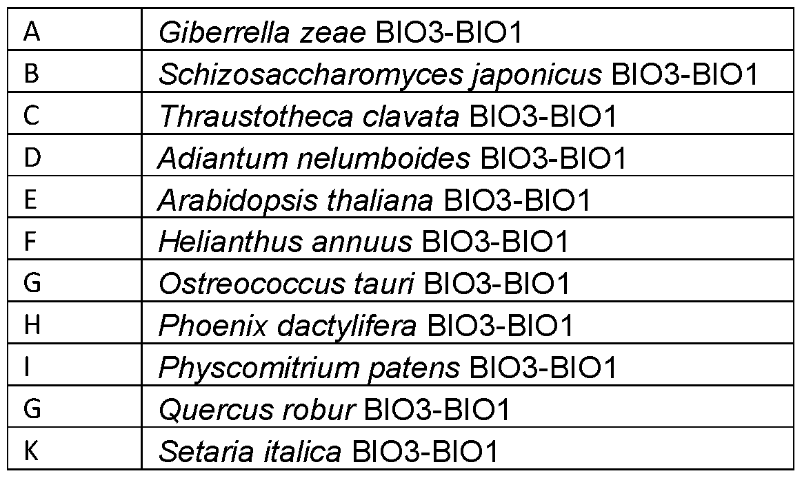 Figure imgf000168_0001