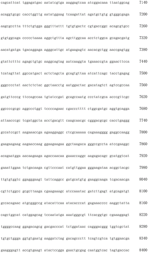 Figure IDA0002872168960000591