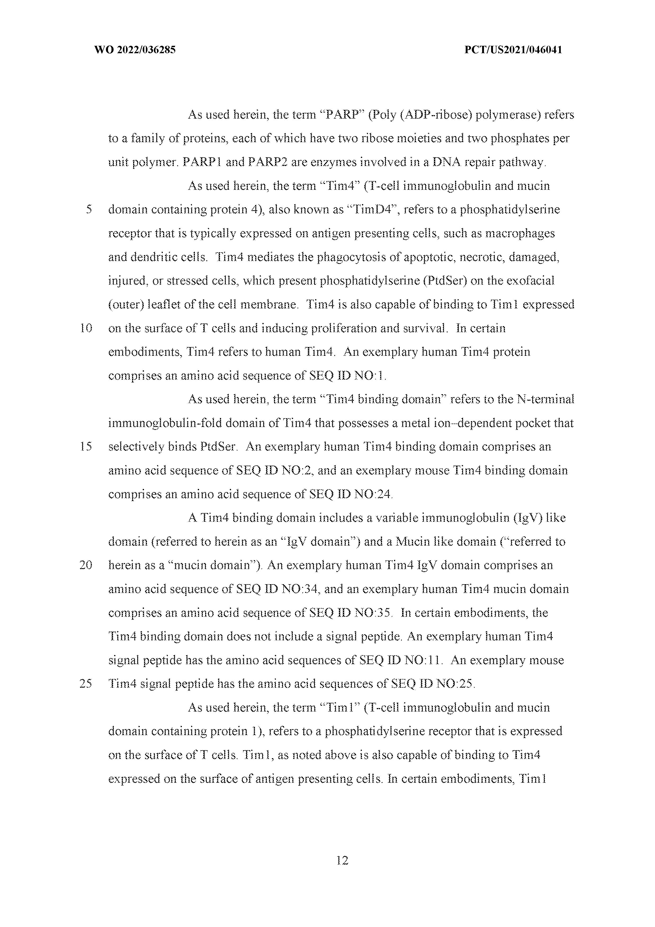 Figure imgf000014_0001