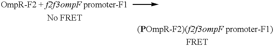 Figure US06808874-20041026-C00008