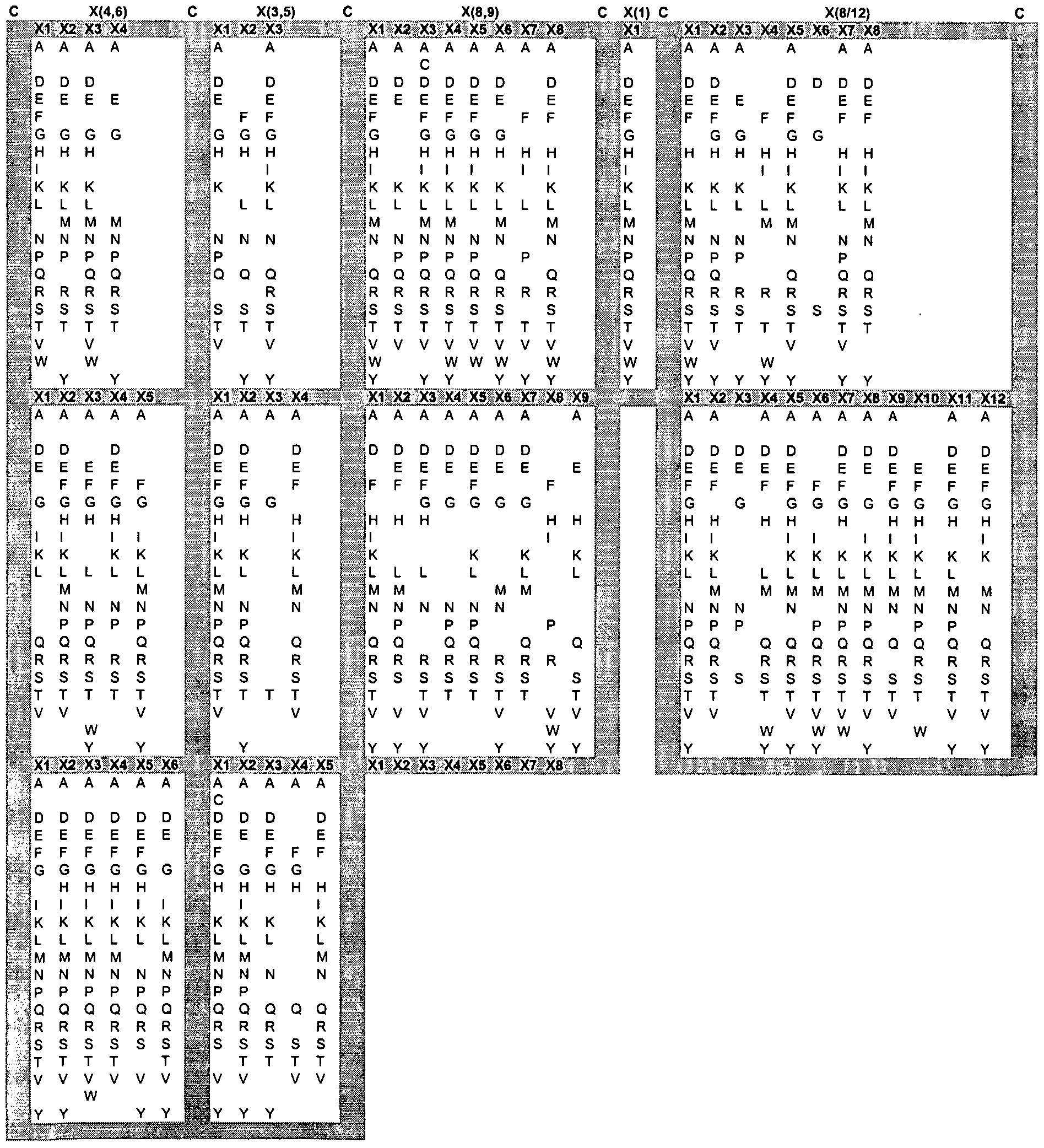 Figure imgf000041_0001