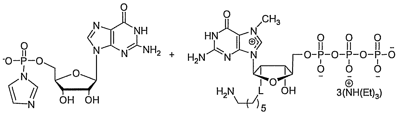 Figure imgf000046_0001