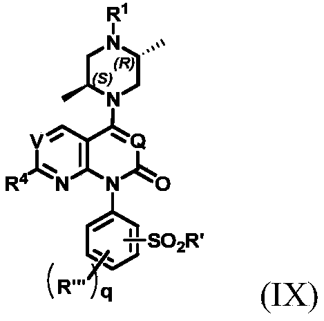Figure PCTCN2021099875-appb-000047