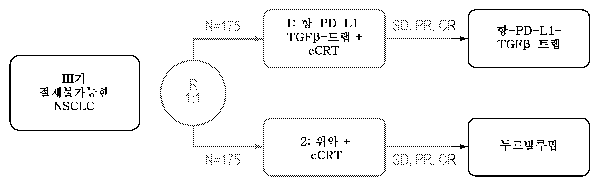 Figure P1020217000898