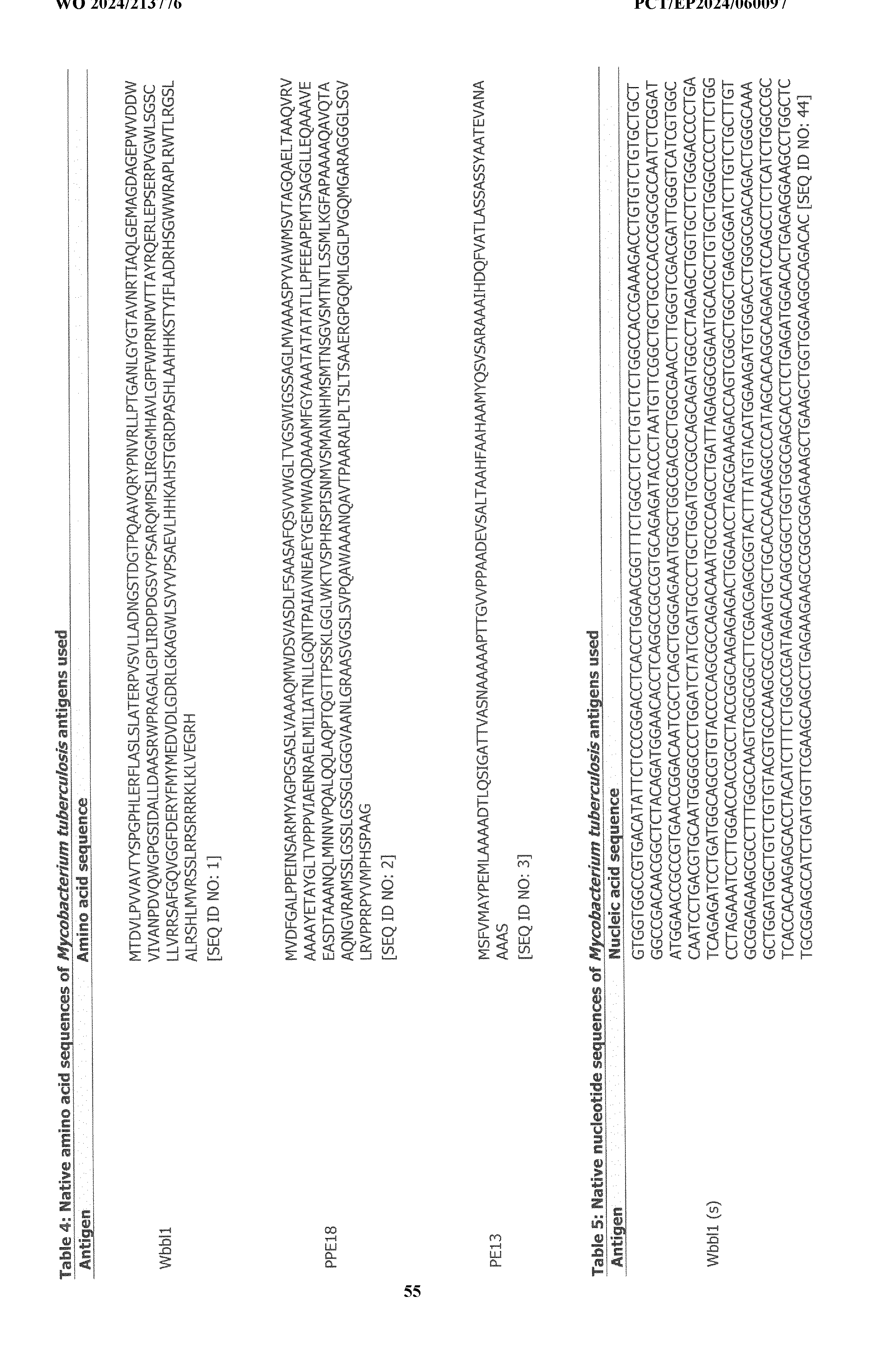 Figure imgf000056_0001