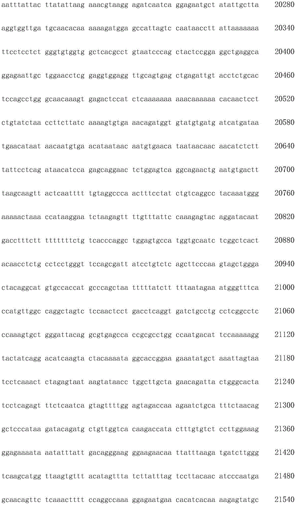 Figure IDA0003936212790000351