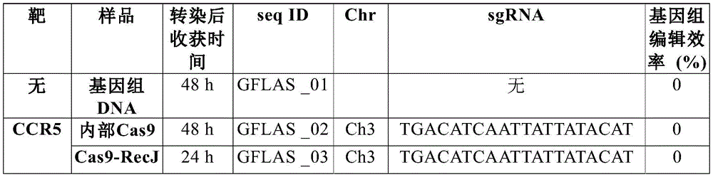 Figure BDA0002550795540001543
