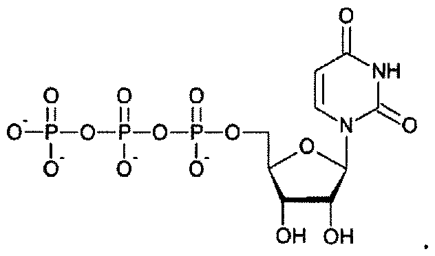 Figure imgf000060_0001
