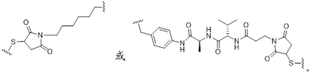 Figure BDA0003107814740001221