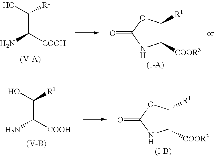 Figure US20030055264A1-20030320-C00011
