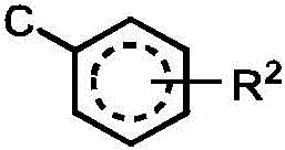 Figure BDA0003101608300000101