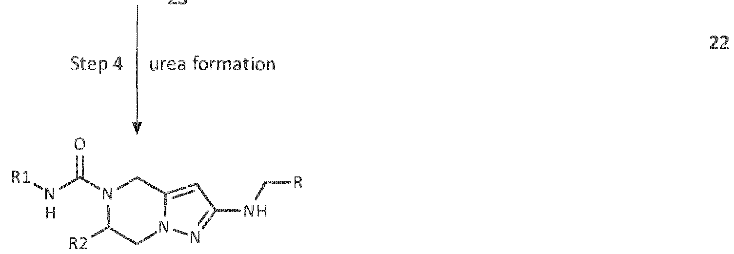 Figure imgf000043_0004