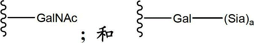 Figure BDA00001882625900101