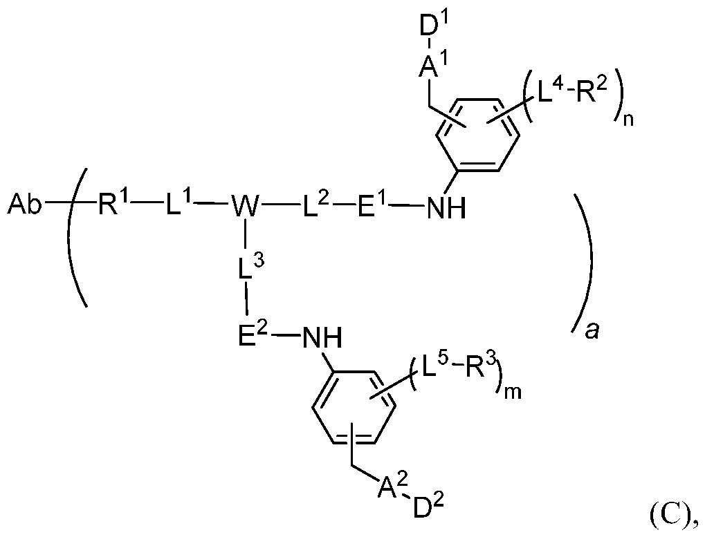 Figure imgf000009_0001