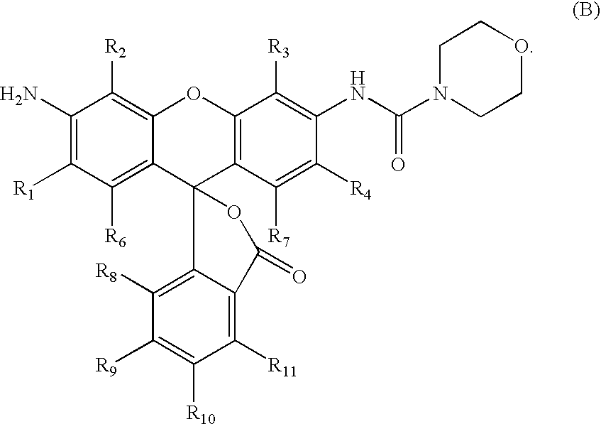 Figure US20100036110A1-20100211-C00026