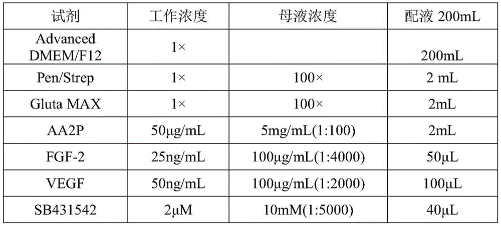 Figure BDA0003483335710000141