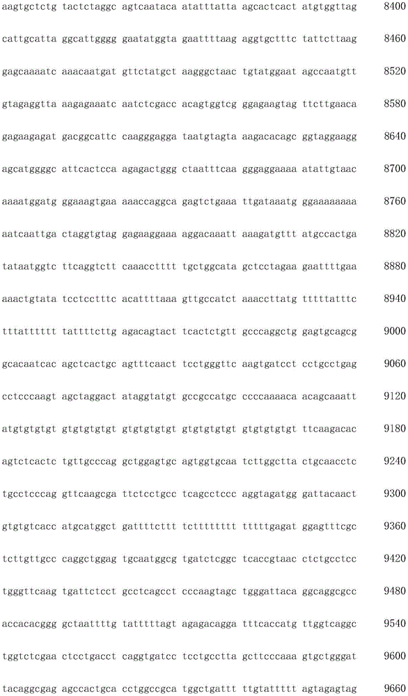 Figure IDA0003936212790000261