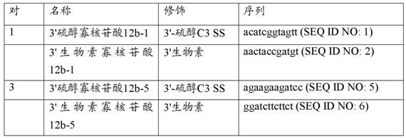Figure DEST_PATH_IMAGE002