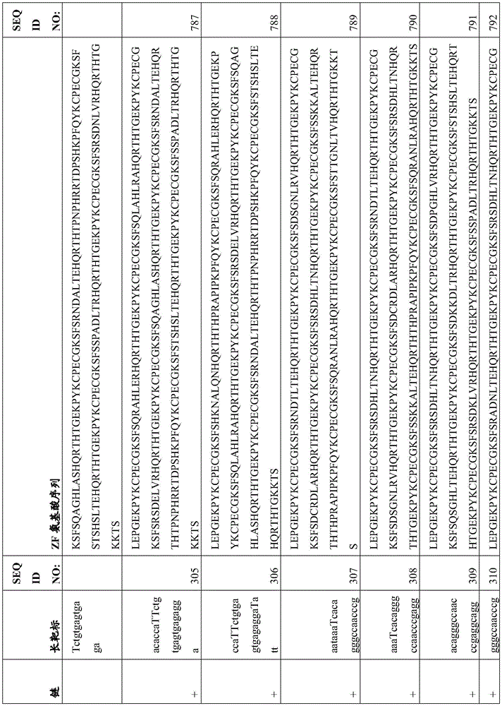 Figure BDA0003935065550000711