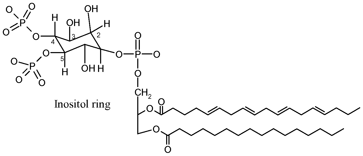 Figure imgf000004_0001