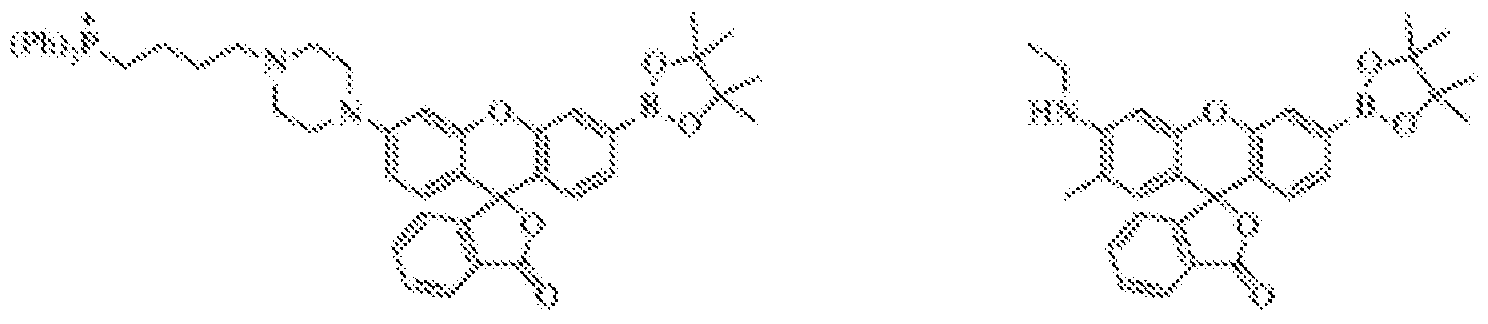 Figure imgf000024_0002