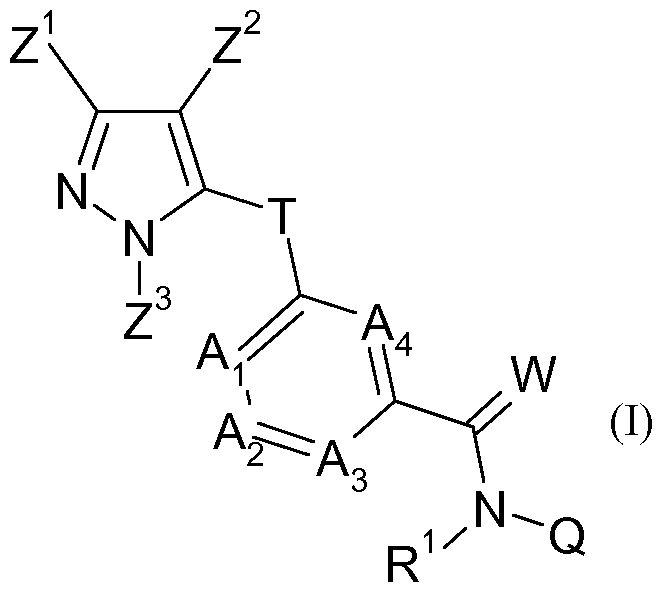 Figure imgf000013_0001