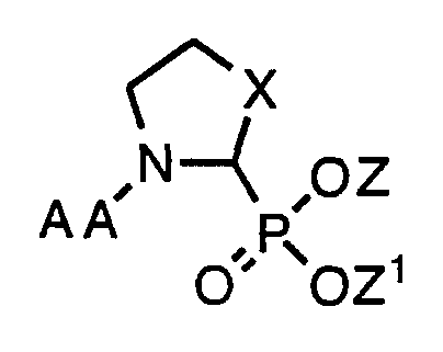 Figure imgf000004_0002