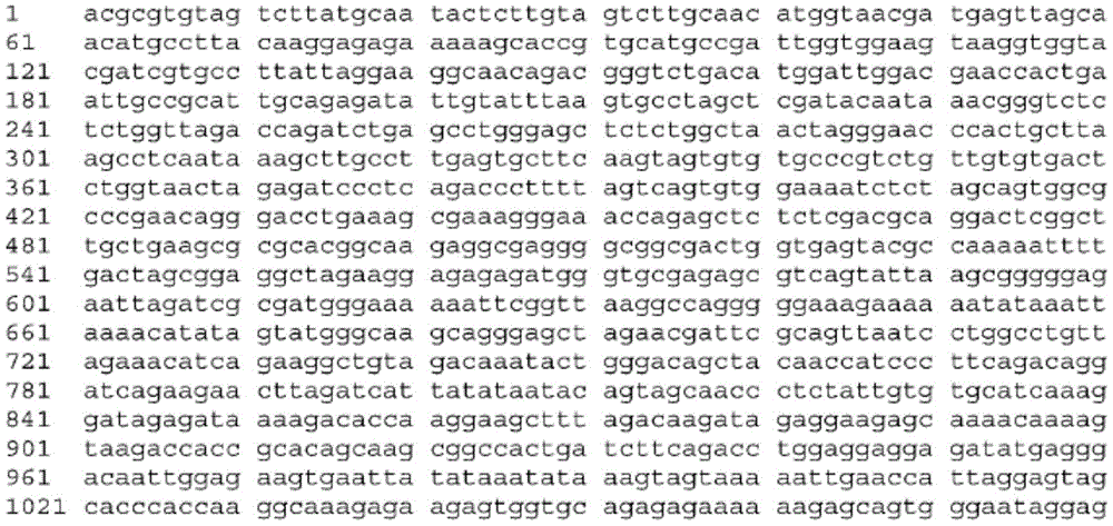 Figure BDA0003465582640001092