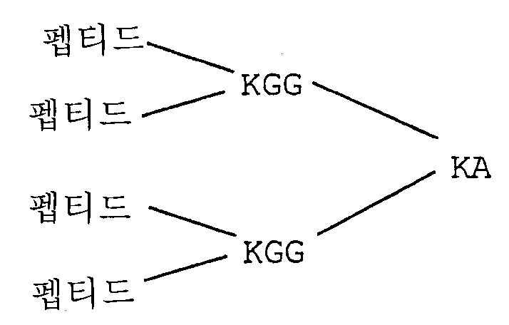 Figure 112009033412703-pat00009