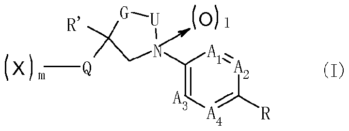 Figure imgf000002_0002