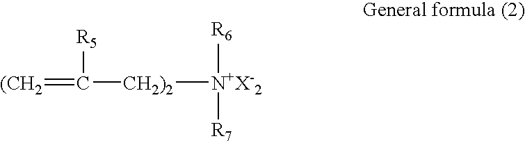 Figure US20060162882A1-20060727-C00013