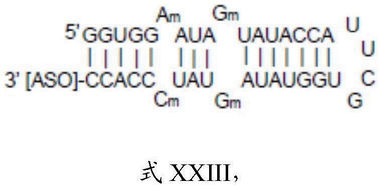 Figure BDA0003264319780000693