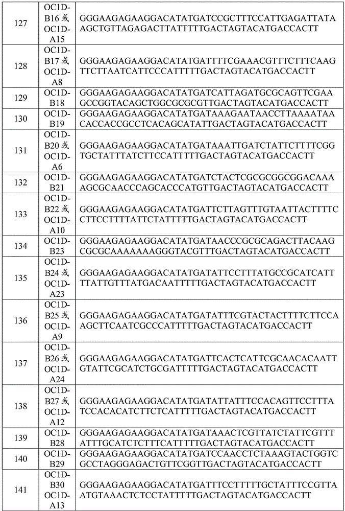 Figure BDA0002402678590000481