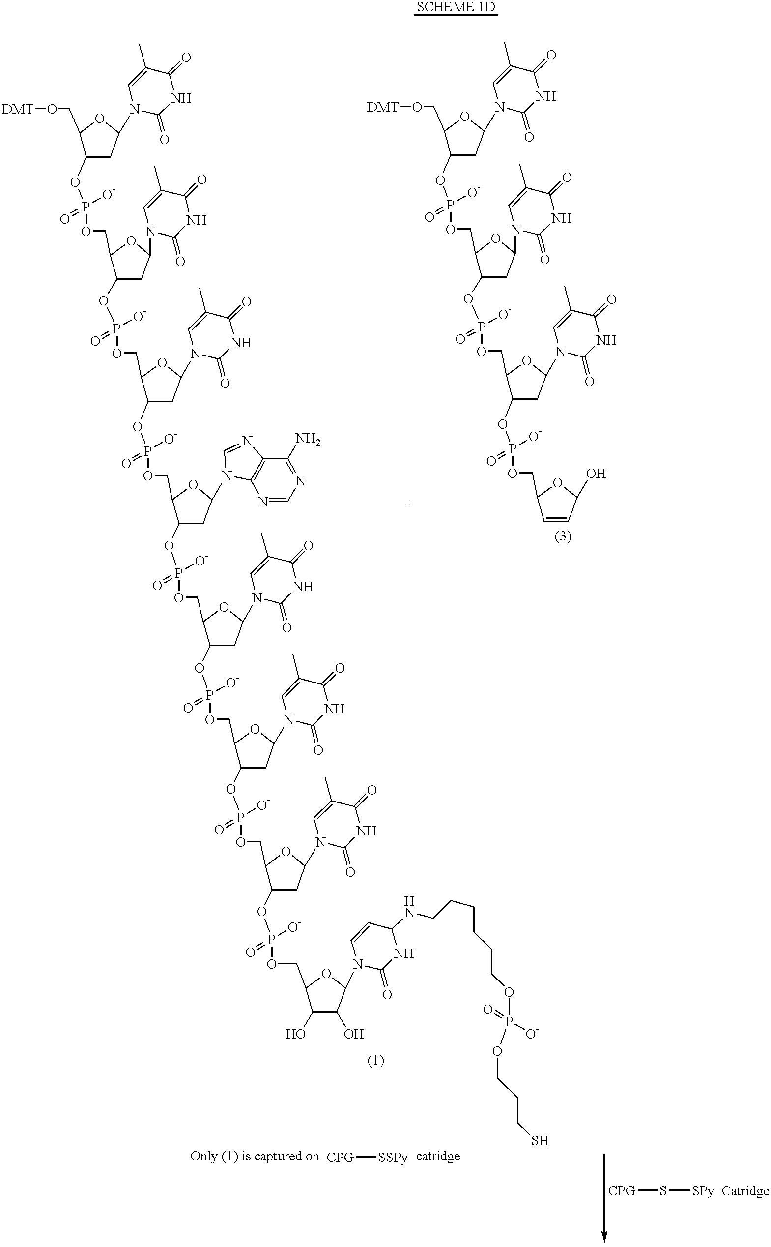 Figure US06472522-20021029-C00007
