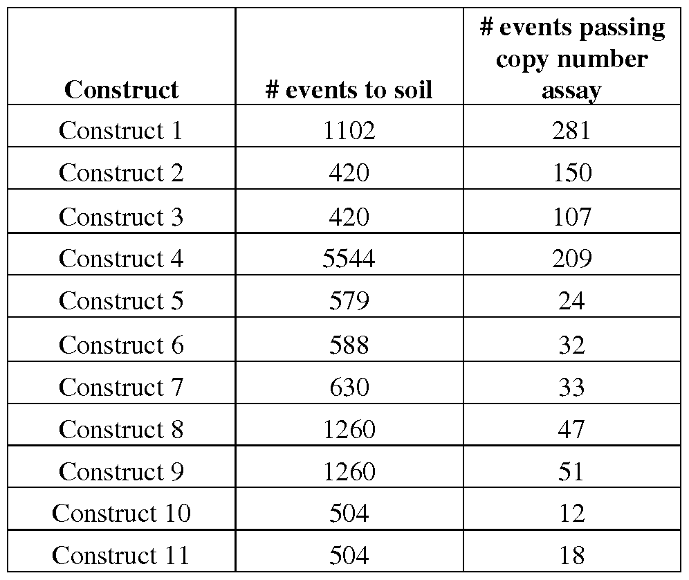 Figure imgf000041_0001