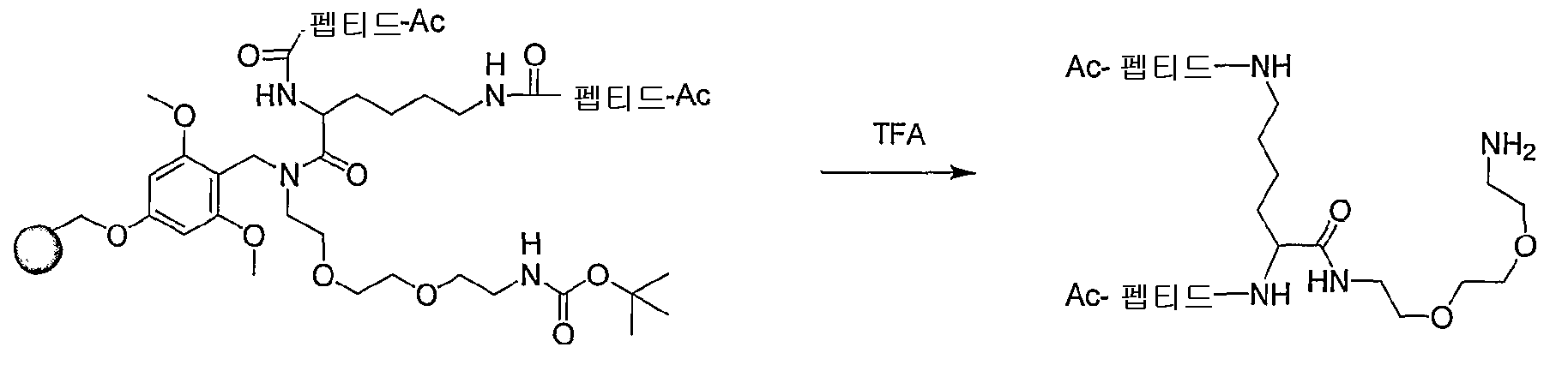 Figure 112005065158161-pct00034