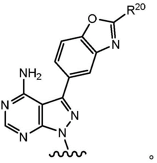 Figure FDA0003080200980000091