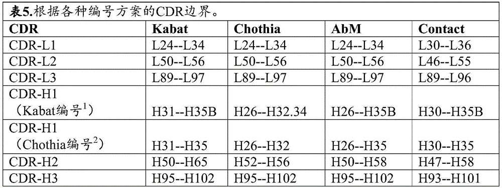 Figure BDA0003980595070000641