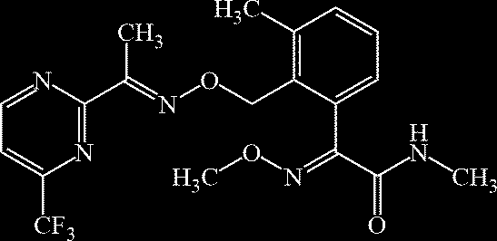 Figure US20230357152A1-20231109-C00436