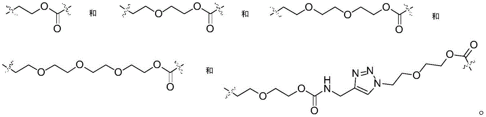 Figure GDA0002483706190001571