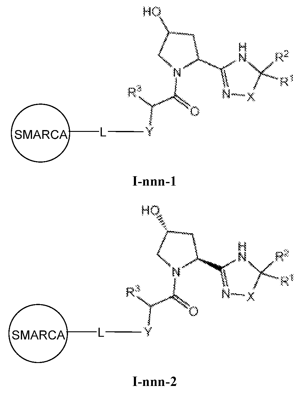 Figure imgf000112_0002