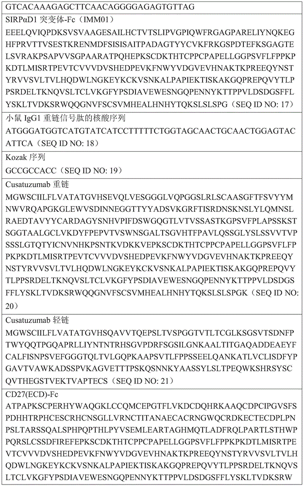 Figure BDA0003301515660000261