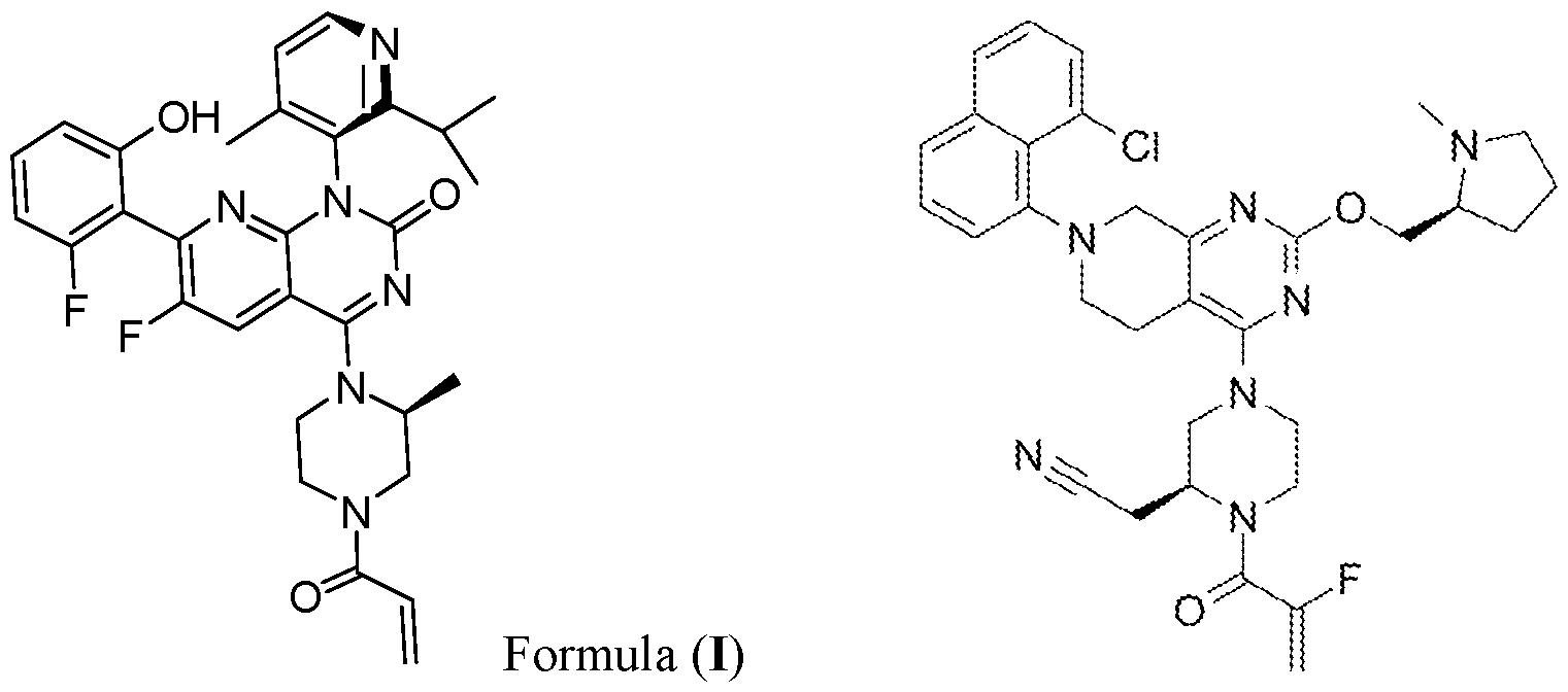 Figure imgf000004_0001