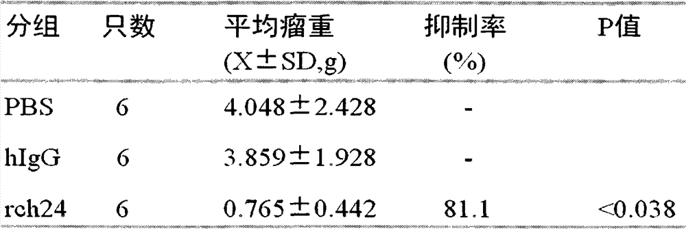 Figure GSA00000089561700241