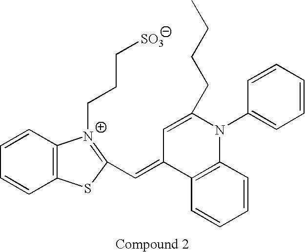 Figure US20090047683A1-20090219-C00024